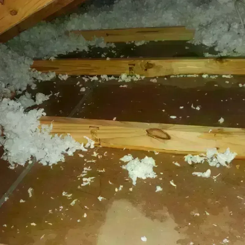 Attic Water Damage in Riverton, WY