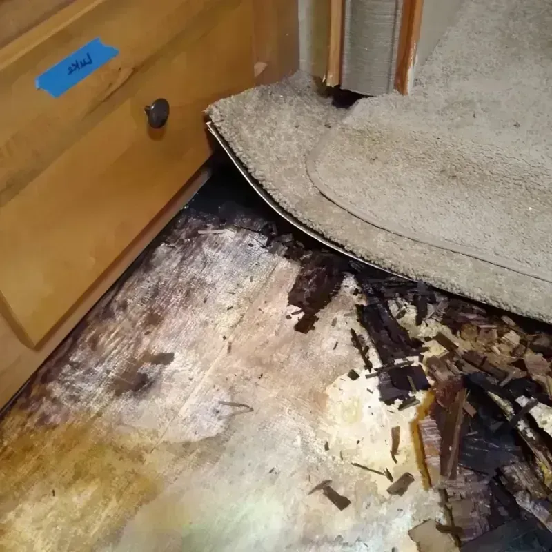 Wood Floor Water Damage in Riverton, WY